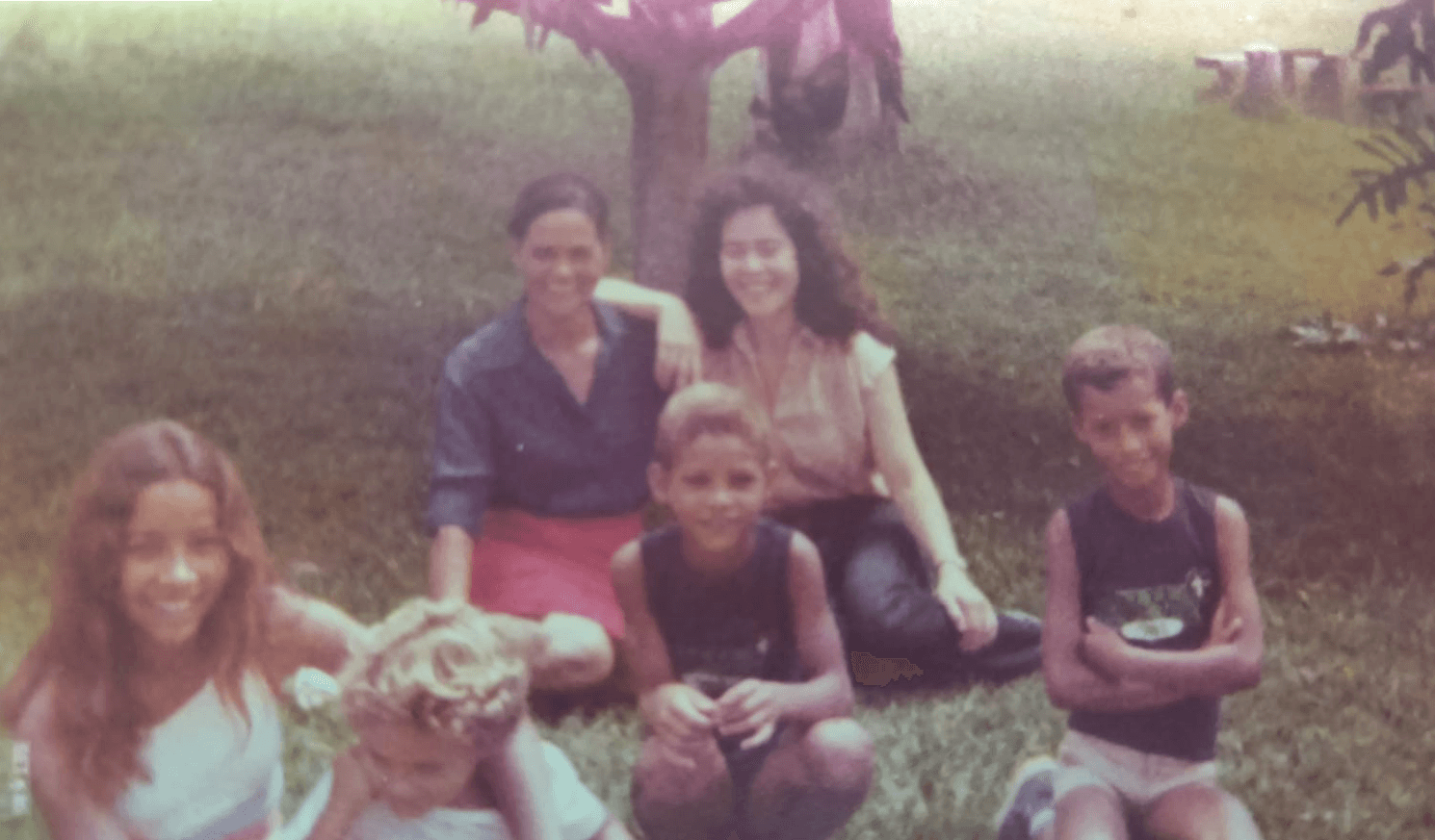 Família Acácia Alves — Anos 80